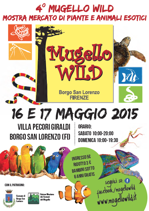 mugello wild